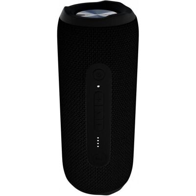 Evelatus - Haut-parleur Bluetooth taille L EBS03 - Haut-parleur Bluetooth - Publicité Evelatus - Haut-parleur Bluetooth taille L EBS03 - Haut-parleur Bluetooth - Publicité