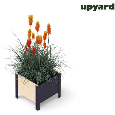 Pflanzen-Kölle - Modernbox Low - 36x36 cm - nordisches Holz - Hochbeet Pflanzen-Kölle - Modernbox Low - 36x36 cm - nordisches Holz - Hochbeet