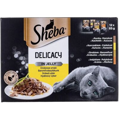 Sheba Delicacy Kocia Karma w Żelku Kurczak Pstrąg Kaczka Ptaki - 100g Sheba Delicacy Kocia Karma w Żelku Kurczak Pstrąg Kaczka Ptaki - 100g