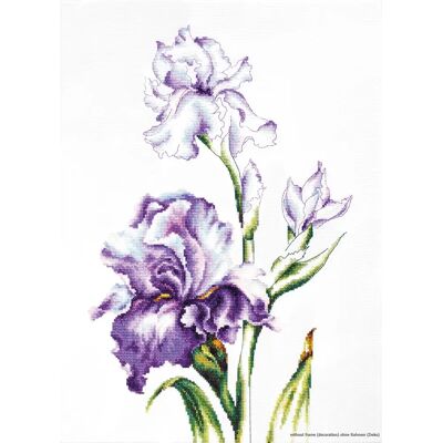 ART Haft korsstingsset - Irysy - 24x38cm - Korsstingset ART Haft korsstingsset - Irysy - 24x38cm - Korsstingset