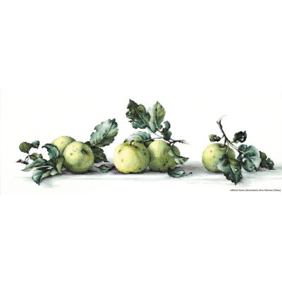 Lucas-S Räkna korsstygns-set - 49,5x16,5cm, 36 färger - Still life with Apples Lucas-S Räkna korsstygns-set - 49,5x16,5cm, 36 färger - Still life with Apples