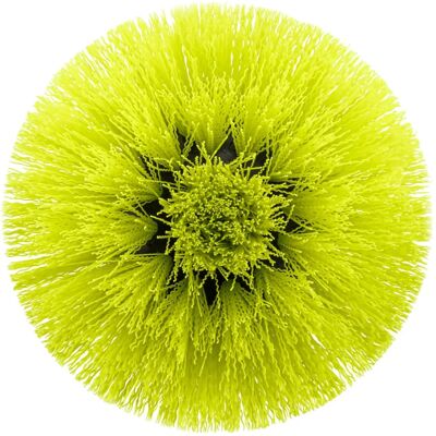 Ryobi - Modèle RACLRM110 Brosse douce multisurfaces - Nettoyeur de sols Ryobi - Modèle RACLRM110 Brosse douce multisurfaces - Nettoyeur de sols
