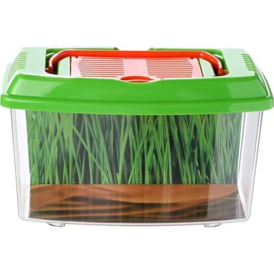 PlayGo Insekten-Tragbox - Bug Carry Case, Bastelset, Mehrfarbig PlayGo Insekten-Tragbox - Bug Carry Case, Bastelset, Mehrfarbig