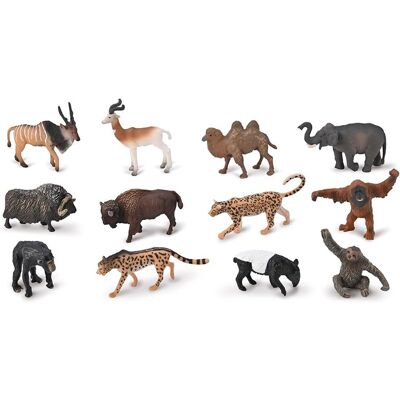 Collecta Tierfiguren - 12 Handbemalte Sets - Bildung Collecta Tierfiguren - 12 Handbemalte Sets - Bildung
