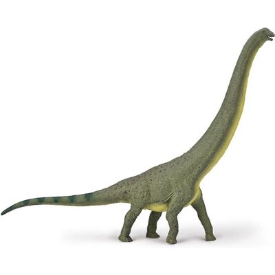 Collecta Dreadnoughtus 1:100 - Dinosaurierfigur Collecta Dreadnoughtus 1:100 - Dinosaurierfigur