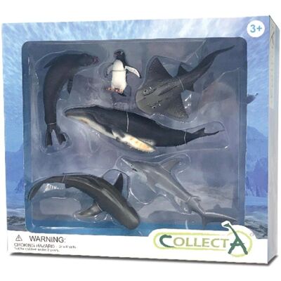 CollectA Meerestiere Figuren Geschenkset - 6 Stück für Kinder ab 3+ CollectA Meerestiere Figuren Geschenkset - 6 Stück für Kinder ab 3+