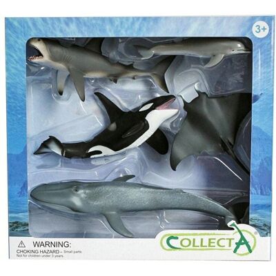 Ensemble de Figures de Vie Marine CollectA - 5 Pièces, Éducatif & Collection - Publicité Ensemble de Figures de Vie Marine CollectA - 5 Pièces, Éducatif & Collection - Publicité