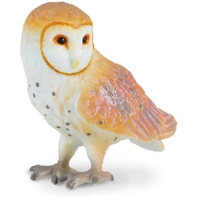 Réplique réaliste de chouette effraie CollectA - Type d'animal : Oiseau - Petit - Éducatif Réplique réaliste de chouette effraie CollectA - Type d'animal : Oiseau - Petit - Éducatif