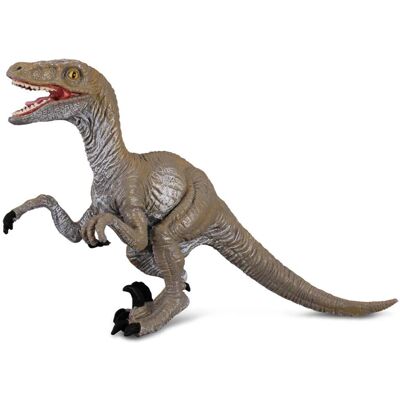 Figurine de Dinosaure Velociraptor CollectA - Réaliste, 10cm - Publicité Figurine de Dinosaure Velociraptor CollectA - Réaliste, 10cm - Publicité