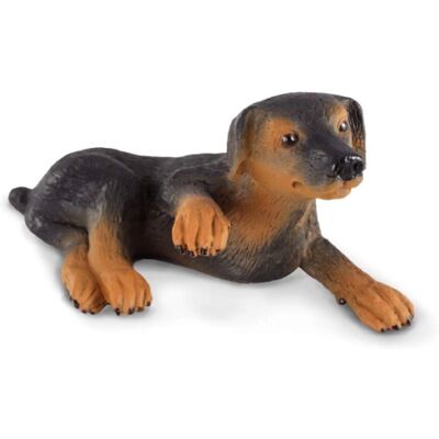 Collecta Chiot Doberman - Figurine Animale - 5.5cm - Chien - Publicité Collecta Chiot Doberman - Figurine Animale - 5.5cm - Chien - Publicité