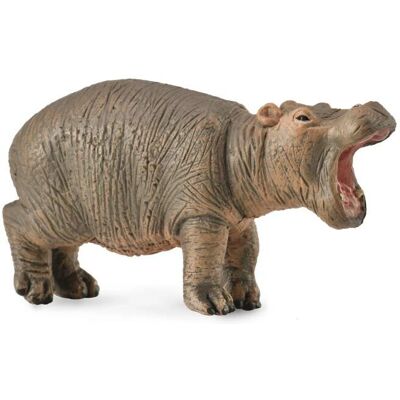 Réplica d'animal de bébé hippopotame CollectA - Petit, 6cm - Type d'animal - Publicité Réplica d'animal de bébé hippopotame CollectA - Petit, 6cm - Type d'animal - Publicité
