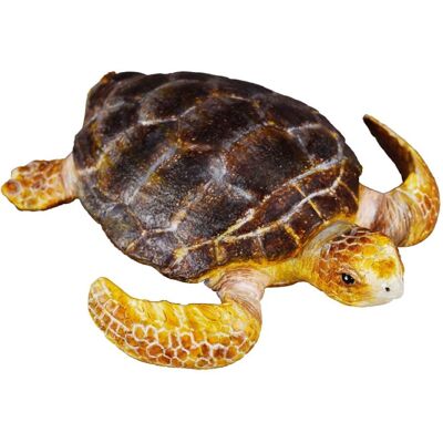 Figurine de Tortue Caouanne Collecta - Type Marin Figurine de Tortue Caouanne Collecta - Type Marin