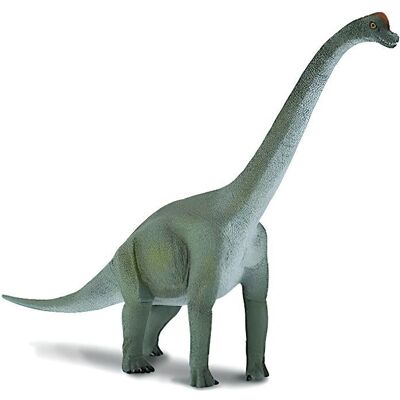 Figure d'Action Dinosaur Brachiosaurus CollectA - Grand - Jouet pour 3+ ans - Publicité Figure d'Action Dinosaur Brachiosaurus CollectA - Grand - Jouet pour 3+ ans - Publicité