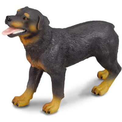 CollectA Rottweiler Groß - Spielzeugfigur, Realistisch, ab 3+ CollectA Rottweiler Groß - Spielzeugfigur, Realistisch, ab 3+