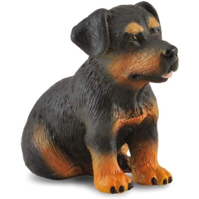 Figurine Chiot Rottweiler Collecta Petit 3+ - Réplique Animale - Publicité Figurine Chiot Rottweiler Collecta Petit 3+ - Réplique Animale - Publicité