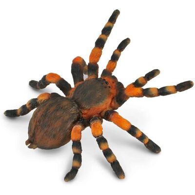 Figurine de Tarentule Genou Rouge CollectA - Grande - Cadeau pour Amateurs d'Insectes Figurine de Tarentule Genou Rouge CollectA - Grande - Cadeau pour Amateurs d'Insectes