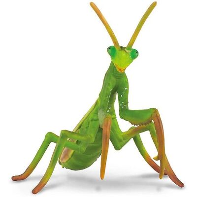 CollectA Große Gottesanbeterinnenfigur - Insektensammlers Stück CollectA Große Gottesanbeterinnenfigur - Insektensammlers Stück