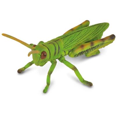 CollectA Sprongkever Replica Medium - Dierenbeeld CollectA Sprongkever Replica Medium - Dierenbeeld