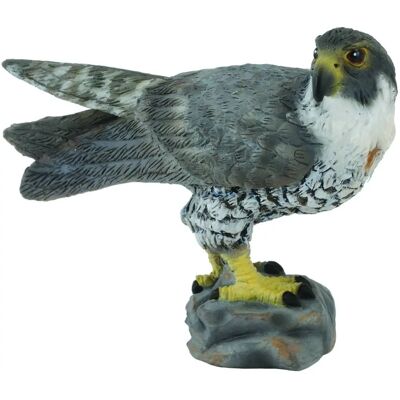CollectA Wanderfalke Tier Replik Klein - Vogel Figur Collecta CollectA Wanderfalke Tier Replik Klein - Vogel Figur Collecta