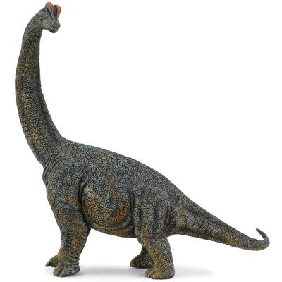 Collecta Brachiosaurus (88405) - Publicité Collecta Brachiosaurus (88405) - Publicité