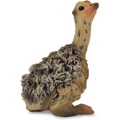 Petite Figurine Poussin d'Autruche Collecta - Animaux Sauvages - Publicité Petite Figurine Poussin d'Autruche Collecta - Animaux Sauvages - Publicité