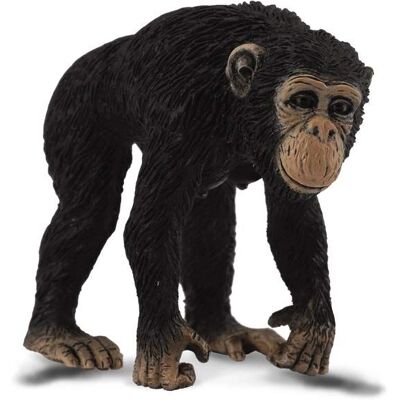 CollectA Männlicher Schimpanse Tier-Replik - Bildungsfigur CollectA Männlicher Schimpanse Tier-Replik - Bildungsfigur