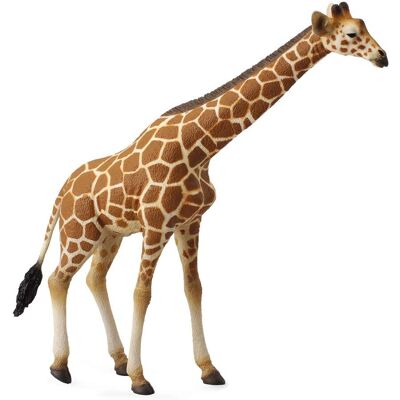 Collecta Giraffe - Extra Grote Dierfigurine - Wildlifeliefhebbers Collecta Giraffe - Extra Grote Dierfigurine - Wildlifeliefhebbers