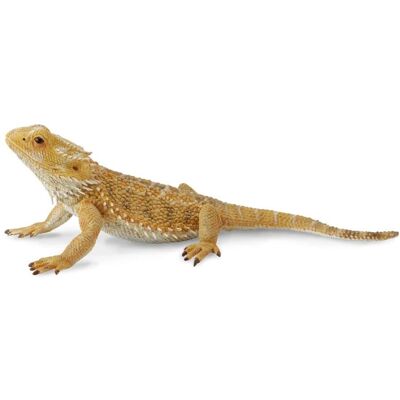 CollectA Dragon Barbu - Réplique Animale Réaliste pour Enfants CollectA Dragon Barbu - Réplique Animale Réaliste pour Enfants
