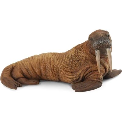 CollectA Grote Walrus Dier Replica - Zeedieren Speelgoed CollectA Grote Walrus Dier Replica - Zeedieren Speelgoed