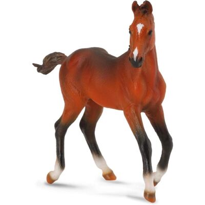 CollectA Bay Quarter föl animalreplik - Hästfigur för 3+ år CollectA Bay Quarter föl animalreplik - Hästfigur för 3+ år