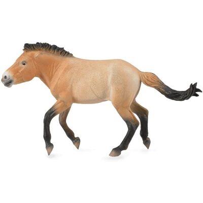 CollectA Przewalski Hengst Figur - Vom Aussterben Bedrohte Wildpferd-Replik CollectA Przewalski Hengst Figur - Vom Aussterben Bedrohte Wildpferd-Replik