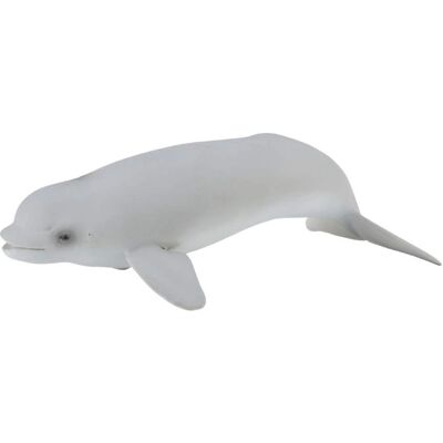 CollectA Beluga Valas Vauva - Koulutuskäyttöön sopiva lelu yli 3-vuotiaille CollectA Beluga Valas Vauva - Koulutuskäyttöön sopiva lelu yli 3-vuotiaille