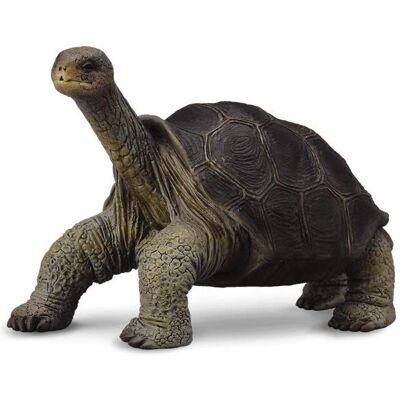 Figurine de Tortue Géante des Galápagos - Conservation de la Faune - Publicité Figurine de Tortue Géante des Galápagos - Conservation de la Faune - Publicité