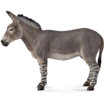 CollectA Grote Afrikaanse Wild Ass Actiefiguur CollectA Grote Afrikaanse Wild Ass Actiefiguur