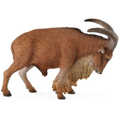 CollectA Berber-Schaf Replik - Lehrreiches Tiermodell CollectA Berber-Schaf Replik - Lehrreiches Tiermodell