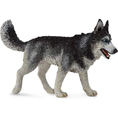 CollectA Suuri Siberian Husky - Lelut CollectA Suuri Siberian Husky - Lelut