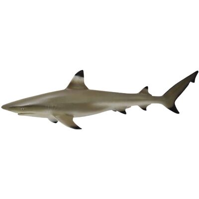 CollectA Mustekala Reef Hai Lelu - Koulutuksellinen & Realistinen - 13.2 cm CollectA Mustekala Reef Hai Lelu - Koulutuksellinen & Realistinen - 13.2 cm