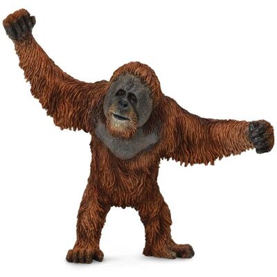 Figurine Orang-Outan CollectA Grande 10.7cm - Modèle Animal - Publicité Figurine Orang-Outan CollectA Grande 10.7cm - Modèle Animal - Publicité