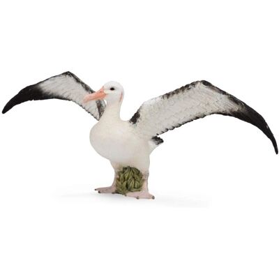 Collecta Albatros Figur - Meeres Tier - 1,9x3,1cm Collecta Albatros Figur - Meeres Tier - 1,9x3,1cm