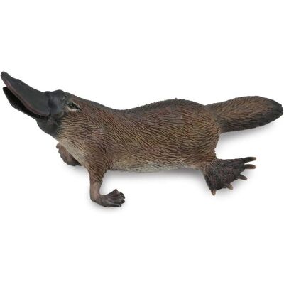 CollectA Platypus Dierenreplika - Medium CollectA Platypus Dierenreplika - Medium