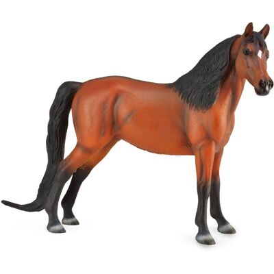 Gioco Cavallo Morgan Bay di CollectA - Marrone Gioco Cavallo Morgan Bay di CollectA - Marrone