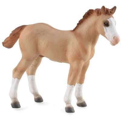 CollectA Punainen Duns Quarter Foal Hevostarra - Realistinen, Keskikokoinen 10.3cm CollectA Punainen Duns Quarter Foal Hevostarra - Realistinen, Keskikokoinen 10.3cm