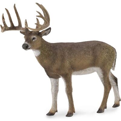 CollectA Weißwedelhirsch Figur - Realistische Wildtiere Sammlung CollectA Weißwedelhirsch Figur - Realistische Wildtiere Sammlung