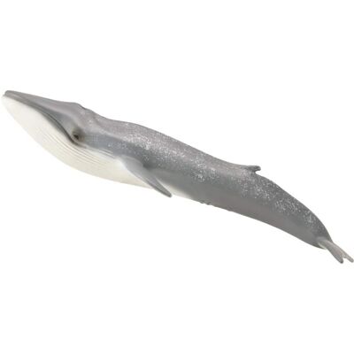 Figurine Baleine Bleue CollectA - Jouet Éducatif pour Enfants 3+ - Accessoire Diorama - Publicité Figurine Baleine Bleue CollectA - Jouet Éducatif pour Enfants 3+ - Accessoire Diorama - Publicité
