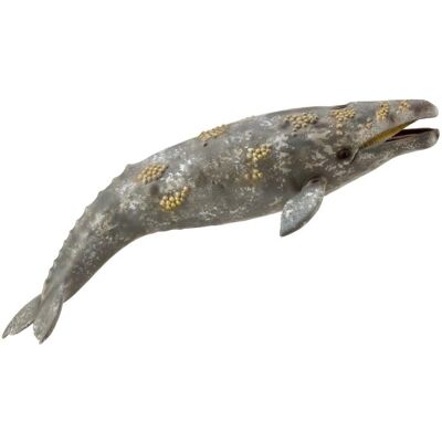 CollectA Grauwal-Replik - Meereslebewesen Figur für Sammler CollectA Grauwal-Replik - Meereslebewesen Figur für Sammler