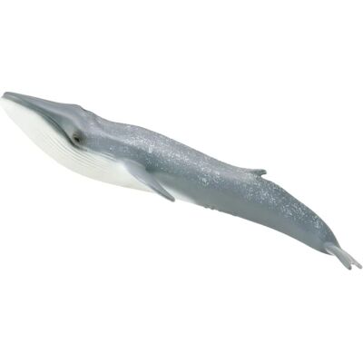 CollectA Minkwal Figur - Extra Große Meeres Tier Replik CollectA Minkwal Figur - Extra Große Meeres Tier Replik