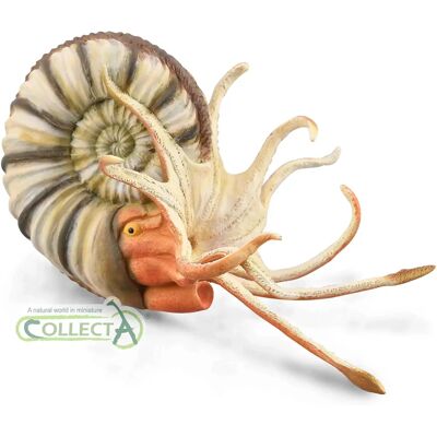 Réplique d'Ammonite Pleuroceras CollectA - Collection de fossiles - Publicité Réplique d'Ammonite Pleuroceras CollectA - Collection de fossiles - Publicité