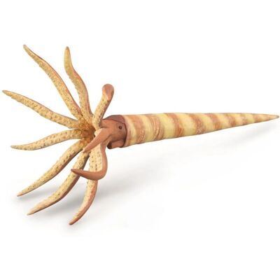 CollectA Orthoceras Tier-Replik Groß - Tier Replik CollectA Orthoceras Tier-Replik Groß - Tier Replik
