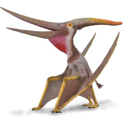 Giocattolo Dinosaurio Pteranodon CollectA con mascella mobile - Giocattolo di dinosauro Giocattolo Dinosaurio Pteranodon CollectA con mascella mobile - Giocattolo di dinosauro