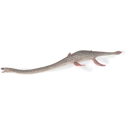 CollectA Elasmosaurus 88922 - Figure de Dinosaure Marin pour Enfants 3+ - Publicité CollectA Elasmosaurus 88922 - Figure de Dinosaure Marin pour Enfants 3+ - Publicité